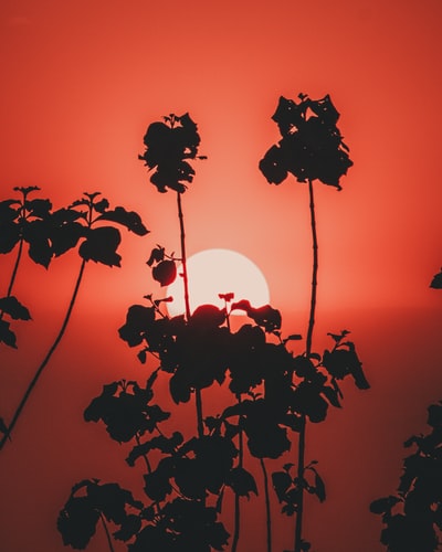 图聚科技